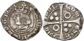 Ferran II (1479-1516). Perpinyà. Croat. (Cru.V.S. 1152 var) (Badia 931) (Cru.C.G. 3072 var). 3,06 g. La X de REX reacuñada sobre otra X. Cospel algo i...