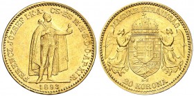 1893. Hungría. Francisco José I. (Kremnitz). 20 coronas. (Fr. 250) (Kr. 486). 6,76 g. AU. EBC.