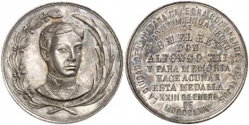 1875. Alfonso XII. La Habana. (Ha. 1 var. metal) (V. 460 var.metal). 17,65 g. Cobre plateado. 33 mm. Golpecitos. Rara. EBC.