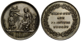 Waadt / Vaud
 Silbermedaille / Silver medal o.J. / ND. (ab/from 1866). 28.0 mm., Schulprämie im Abschnit PRIX DE COLLÈGE in exergue. Rv, legend HONNE...