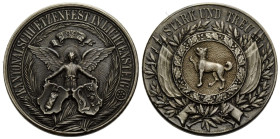 Schützentaler & Schützenmedaillen / Shooting talers & Shooting medals St. Gallen
 Silbermedaille / Silver medal 1897. 33.0 mm. Lichtensteig. Kantonal...