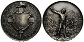 Schützentaler & Schützenmedaillen / Shooting talers & Shooting medals Luzern / Lucerne
 Silbermedaille / Silver medal 1889. 45.0 mm. Luzern. Central-...