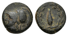 AIOLIS, Elaia. After 340 BC. Æ (10mm 1.4 g). Head of Athena left in Corinthian helmet / Grain-seed within olive-wreath.