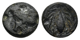 AEOLIS. Elaia. Circa 4th-3rd centuries BC. AE (1.2 Gr 11mm) 
Helmeted head of Athena left. 
Rev: Ε - Λ. Grain within wreath