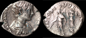Geta. (200-202 AD). Denar. (17mm, 2,84g) Rome. Obv: P SEPT GETA CAES PONT. draped bust of Geta right. Rev: PRINC IVVENTVTIS. Geta standind left holdin...