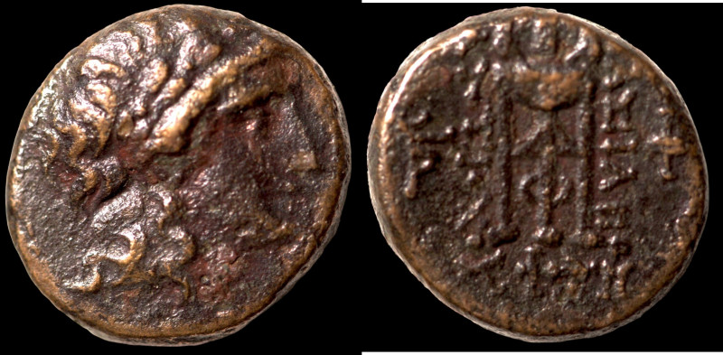 Antiochos II. Theos. (261-246 BC). Bronze Æ. (17mm, 5,03g) Antioch.