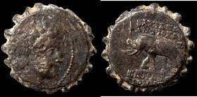 Antiochos VI. Dionysos. (144-142 BC). Bronze Æ. (20mm, 8,17g) Antioch.