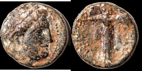 Sicily. Syracuse. (3. Century BC) Æ Bronze. (18mm, 7,19g) Obv: female head right. Rev: Athena holding spear right.