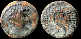 Antiochos VIII. Epiphanes. (109-96 BC). Bronze Æ. (20mm, 7,65g) Antioch.