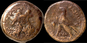 Ptolemaic Kingdom of Egypt. Ptolemaios III. Euergetes. (245-225 BC). Bronze Æ. (23mm, 9,40g) Alexandria.
