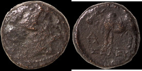 Sicily. Syracuse. (3. Century BC) Æ Bronze. (15mm, 4,89g). Obv: laureate head of Apollo right. Rev: cow standing left. 