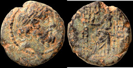 (41-40BC). autonomous Æ Tetrachalkon. (20mm, 7,78g). Antioch.
