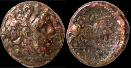 Sicily. Syracuse. (3. Century BC) Æ Bronze. (20mm, 6,98g). Obv: laureate head of Apollo right. Rev: bull standing right. 