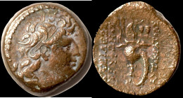 Tryphon. (142-138 BC). Bronze Æ. (18mm, 5,40g) Antioch.