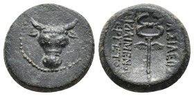 KINGS OF PAPHLAGONIA. Pylaimenes II/III Euergetes(Circa 133-103 BC). AE.
Obv: Facing head of a bull.
Rev:ΒΑΣΙΛΕΩΣ - ΠYΛΑΙΜΕΝΟΥ / ΕΥΕΡΓΕΤΟΥ.
Winged ...