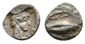 IONIA, Magnesia ad Maeandrum (400-350 BC) AR Hemiobol.
Obv: Head of Apollo right.
Rev: MAΓ above barley corn, Maeander pattern below.
Cf, SNG Kayha...
