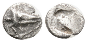 Greek
Mysia. Kyzikos 500-450 BC. Obol AR, 0,35 g. 2,5 mm.