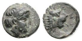 Greek
Troas. Antandros circa 350-250 BC. Bronze Æ, 0,67 g. 8,9 mm.