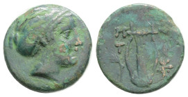 Greek Coins
LESBOS. Mytilene. Ae (Circa 350-250 BC).1,48 g. 13,4 mm.
Obv: Female head (Mytilene?) right, with hair in sphendone.
Rev: M - ? / T - ?. L...