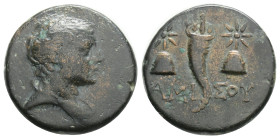 PONTOS, Amisos. Circa 110-100 BC. Æ Struck under Mithradates VI. Winged bust of Perseus right / Cornucopia between two piloi. 4.3 g. 17,9 mm.