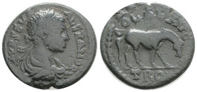 Roman Provincial
Troas. Alexandreia. Severus Alexander AD 222-235. Bronze Æ, 5,8 g. 22,9 mm.