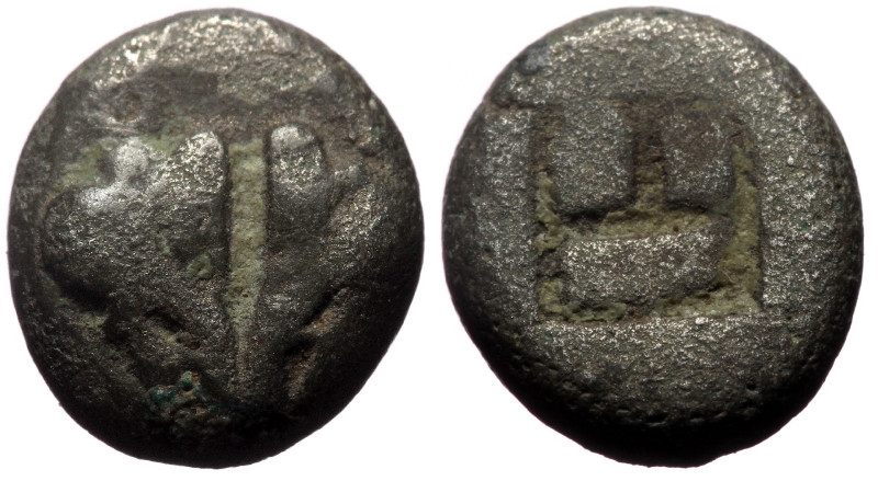 Lesbos, Mytilene (500-450 BC) AR/Bl Diobol (Silver, 1,09g, 10mm)
Obv: Two confro...