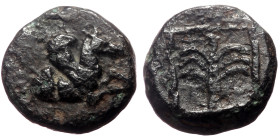 Troas, Skepsis AE (Bronze, 0.90g, 8mm) ca 400-310 BC).
Obv: Forepart of Pegasos right 
Rev: Palm tree within linear square.
Ref: SNG Copenhagen 483; S...