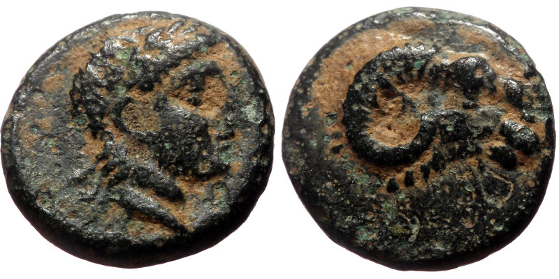 Troas, Kebren AE (Bronze, 1.06g, 10mm) ca 387-310 BC. 
Obv: Head of ram right 
R...