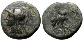 Aeolis, Elaia AE (Bronze, 2.68g, 14mm) 1st century BC. 
Obv: Helmeted head of Athena left 
Rev: Owl standing right, head facing, on palm frond. 
Ref: ...