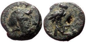 Aeolis, Neonteichos AE (Bronze, 0.79g, 10mm) 3rd-2nd centuries BC 
Obv: Head of Athena right, wearing crested Attic helmet decorated with a griffin 
R...
