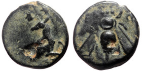 Ionia, Ephesos AE (Bronze, 1.86g, 13mm) ca 387-289 BC. 
Obv: E-F, bee 
Rev: Forepart of a stag right. 
Ref: SNG Copenhagen 244; BMC Ionia -; SNG von A...