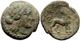Ionia, Miletos, AE, (Bronze, 3.75 g 18 mm), Circa 200-100 BC, Diop'ant magistrate
Obv: Laureate head of Apollo right 
Rev: ΔΙΟΦΑΝΤ, lion standing righ...