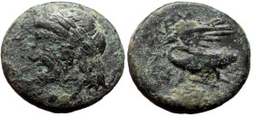 Ionia, Leukai, AE, (Bronze,3.25 g 16 mm),Circa 350-300 BC.
Obv: Laureate head of Apollo left.
Rev: [ΛEOKAITΩN],Swan with open wings left, head turned ...
