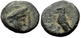 Lycia, Termessos, AE, (Bronze, 1.02 g 9 mm), 1st century BC. 
Obv: Head of Hermes to right, wearing petasos.
Rev: TEP-MHΣΣ, Eagle standing left with c...