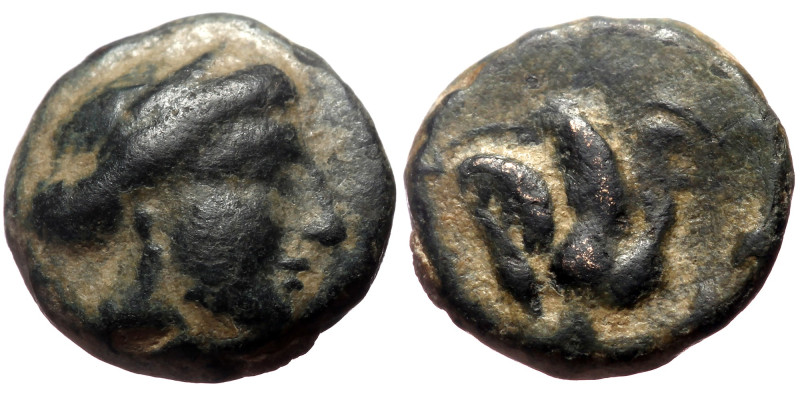 Islands off Caria, Rhodos. Rhodes AE (Bronze, 1.19g, 10mm) ca 350-300 BC. 
Obv: ...