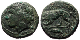 Lydia, Sardes AE (Bronze, 7.01g, 19mm) 
Obv: Dionysos head left.
Rev: ΣAPΔIANΩN, Lion walking right.
Ref: ???