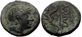 Kings of Pergamon, Philetairos (282-263 BC) AE (Bronze, mm, 1.85g)
Obv: Head of Athena to right, wearing crested Attic helmet decorated with a griffin...
