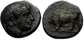 Mysia, Gambrion (4th century BC) AE (Bronze, mm, 0.75g). 
Obv: Laureate head of Apollo to right. 
Rev: Bull butting left. 
Ref: SNG Copenhagen 156. SN...