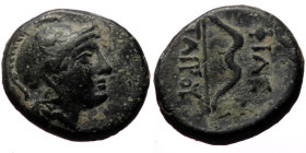 Kings of Pergamon, Philetairos (282-263 BC) AE (Bronze, 13mm, 2.58g)
Obv: Head of Athena to right, wearing crested Attic helmet decorated with a griff...