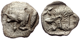 Mysia, Kyzikos (ca 450-400 BC) AR Hemiobol (Silver, 9mm, 0.30g) 
Obv: Forepart of boar left; to right, tunny upward 
Rev: Head of roaring lion left; s...