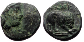 Mysia, Plakia (4th century BC) AE (Bronze, 1.21g, 11mm)
Obv: Turreted head of Kybele right.
Rev: ΠΛΑΚΙΑ, Lion, devouring prey, standing right on grain...