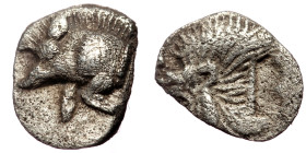 Mysia, Kyzikos (ca 525-475 BC) AR Tetartemorion (Silver, 8mm, 0.18g) 
Obv: Forepart of boar left; tunny to right 
Rev: Head of roaring lion left; star...