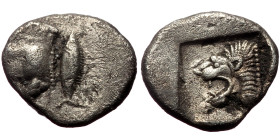 Mysia, Kyzikos (ca 450-400 BC) AR Hemiobol (Silver, 8mm, 0.25g) 
Obv: Forepart of boar left; to right, tunny upward 
Rev: Head of lion left within inc...