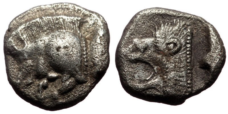 Mysia, Kyzikos (ca 525-475 BC) AR Diobol (Silver, 1.17g, 10mm) 
Obv: Forepart of...
