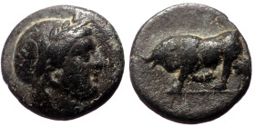 Mysia, Gambrion AE (Bronze, 0.96g, 9mm) 4th century BC. 
Obv: Laureate head of Apollo to right. 
Rev: Bull butting left. 
Ref: SNG Copenhagen 156, SNG...