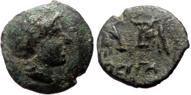 Mysia, Pergamon AE (Bronze, 0.61g, 10mm) ca 450 BC. 
Obv: Laureate head of Apollo right 
Rev: Confronted bull’s heads; grain ear between. 
Ref: SNG Fr...