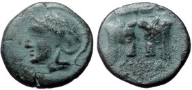Mysia, Pergamon?, AE, (Bronze, 1.26 g, 10 mm) ca 310-282 BC.
Obv: Helmeted and laureate head of Athena to left. 
Rev: [ΠΕΡΓΑ] Confronted bull's heads....