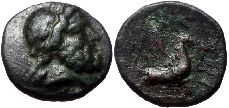 Mysia, Lampsakos, Adramytion or Iolla, AE,(Bronze, 1.81 g 12 mm), Circa 400-300 ...