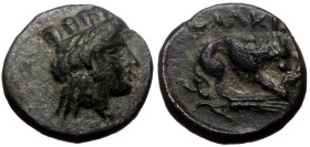 Mysia, Plakia, AE, (Bronze, 1.56 g 11 mm), 4th century BC.
Obv: Turreted head of Kybele right.
Rev: ΠΛΑΚΙΑ, Lion, devouring prey, standing right on gr...