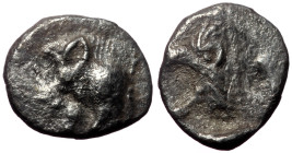 Mysia, Kyzikos, AR Hemiobol, (Silver, 0.35 g 8 mm), Circa 450-400 BC. 
Obv: Forepart of boar left; to right, tunny upward.
Rev: Head of roaring lion l...